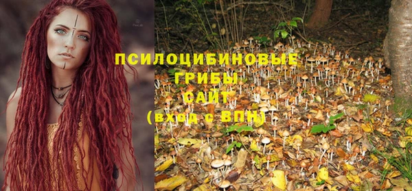 apvp Верхний Тагил