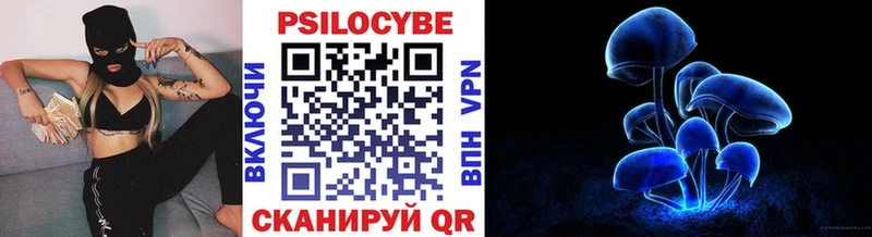ОМГ ОМГ   Северобайкальск  Галлюциногенные грибы прущие грибы  дарнет шоп 