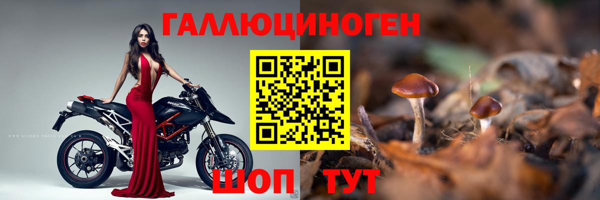 Галлюциногенные грибы MAGIC MUSHROOMS  Псилоцибиновые грибы MAGIC MUSHROOMS  Вход с VPN  Северобайкальск 